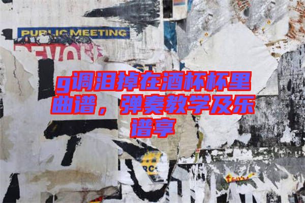g調(diào)淚掉在酒杯杯里曲譜，彈奏教學(xué)及樂譜享