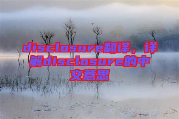 disclosure翻譯，詳解disclosure的中文意思