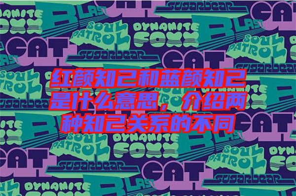 紅顏知己和藍(lán)顏知己是什么意思，介紹兩種知己關(guān)系的不同