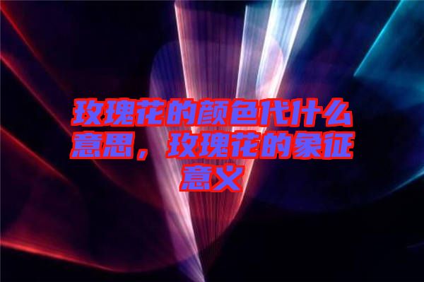 玫瑰花的顏色代什么意思，玫瑰花的象征意義