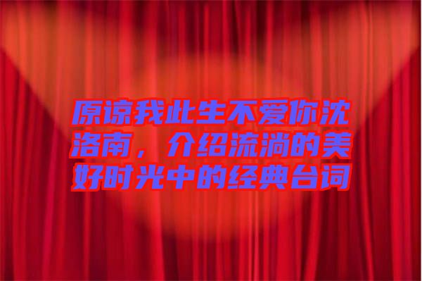 原諒我此生不愛你沈洛南，介紹流淌的美好時光中的經典臺詞