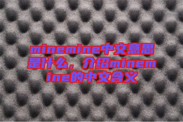minemine中文意思是什么，介紹minemine的中文含義