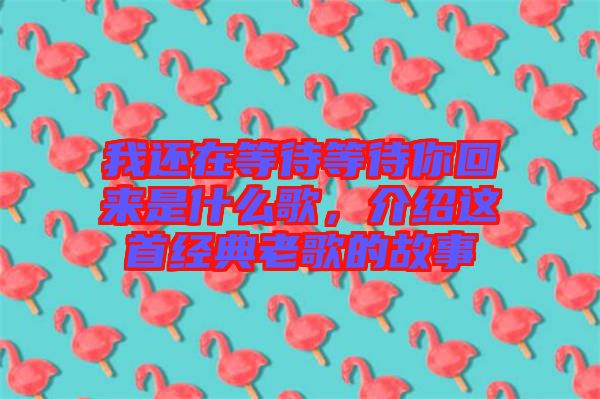 我還在等待等待你回來是什么歌，介紹這首經(jīng)典老歌的故事