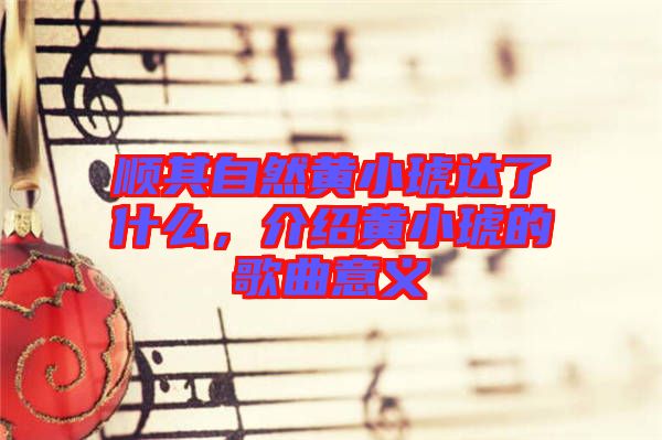 順其自然黃小琥達(dá)了什么，介紹黃小琥的歌曲意義