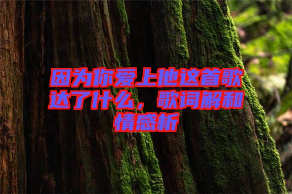因為你愛上他這首歌達了什么，歌詞解和情感析