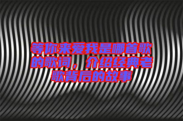 等你來愛我是哪首歌的歌詞，介紹經(jīng)典老歌背后的故事
