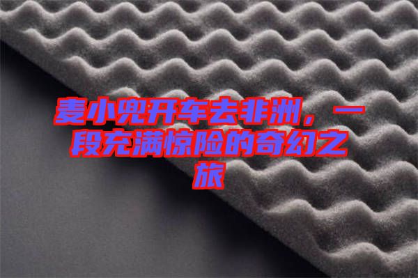 麥小兜開(kāi)車(chē)去非洲，一段充滿驚險(xiǎn)的奇幻之旅