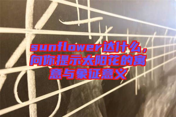 sunflower達什么，向你提示太陽花的寓意與象征意義