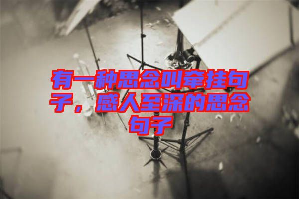 有一種思念叫牽掛句子，感人至深的思念句子
