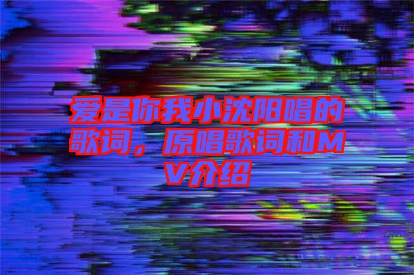 愛是你我小沈陽唱的歌詞，原唱歌詞和MV介紹
