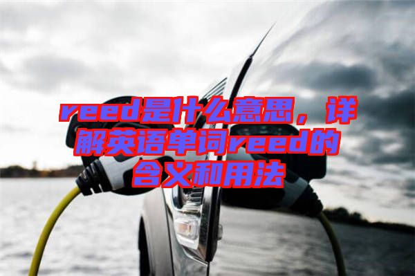 reed是什么意思，詳解英語單詞reed的含義和用法