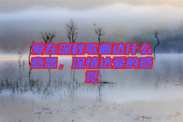 愛在深秋歌曲達(dá)什么意思，深情達(dá)愛的感覺