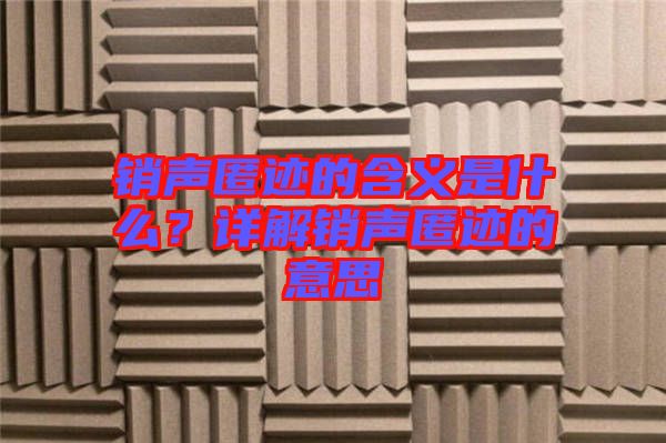 銷聲匿跡的含義是什么？詳解銷聲匿跡的意思