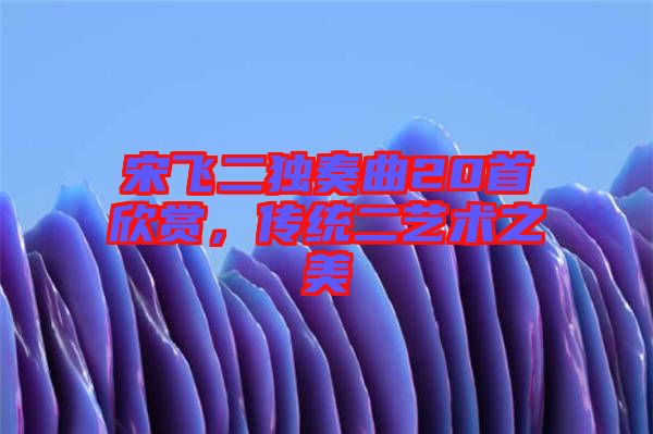 宋飛二獨奏曲20首欣賞，傳統(tǒng)二藝術(shù)之美