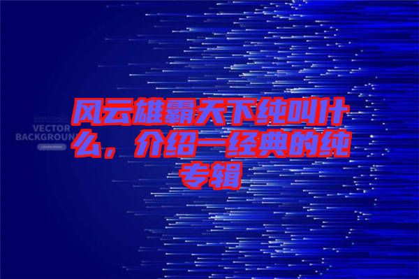 風(fēng)云雄霸天下純叫什么，介紹一經(jīng)典的純專輯