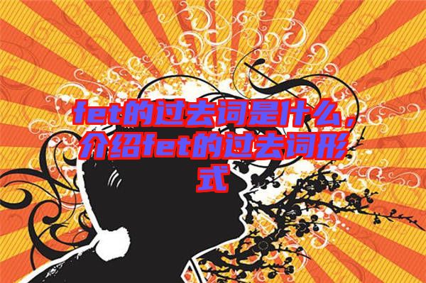 fet的過去詞是什么，介紹fet的過去詞形式