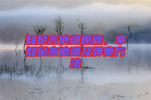 知足吉他譜原版，享知足吉他譜及彈奏方法