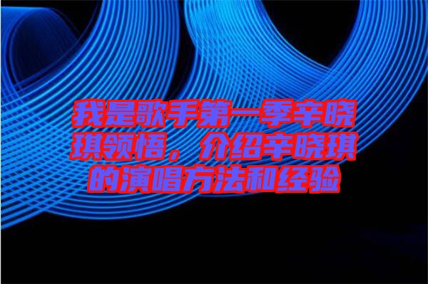 我是歌手第一季辛?xí)早黝I(lǐng)悟，介紹辛?xí)早鞯难莩椒ê徒?jīng)驗(yàn)