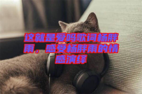 這就是愛嗎歌詞楊胖雨，感受楊胖雨的情感演繹