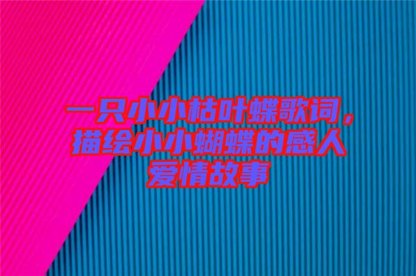 一只小小枯葉蝶歌詞，描繪小小蝴蝶的感人愛情故事