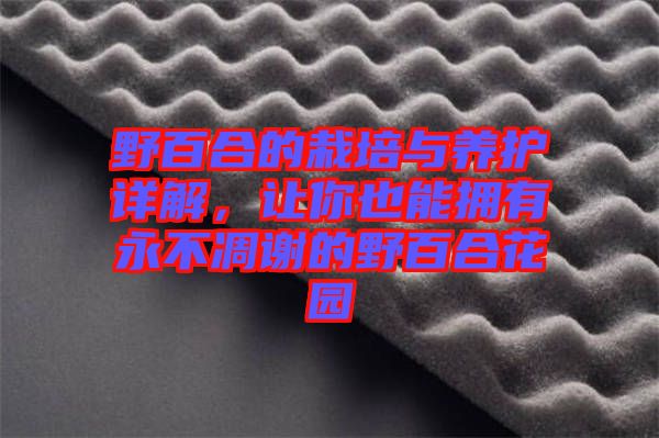 野百合的栽培與養(yǎng)護(hù)詳解，讓你也能擁有永不凋謝的野百合花園