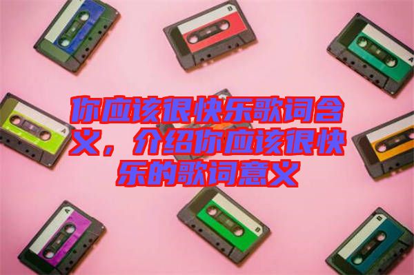 你應(yīng)該很快樂歌詞含義，介紹你應(yīng)該很快樂的歌詞意義