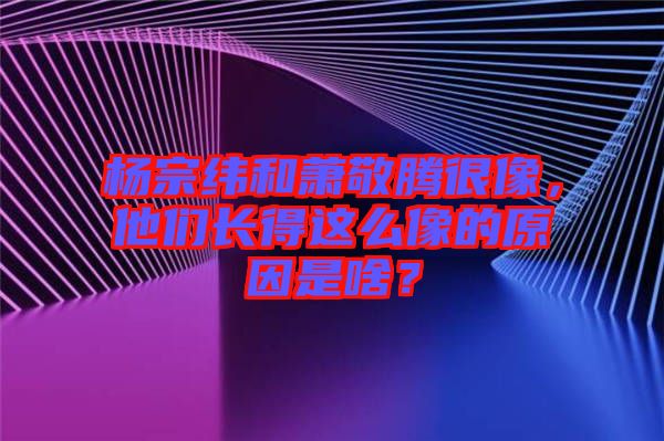 楊宗緯和蕭敬騰很像，他們長得這么像的原因是啥？