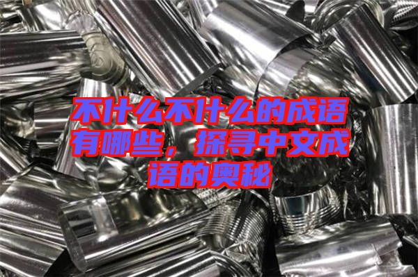 不什么不什么的成語(yǔ)有哪些，探尋中文成語(yǔ)的奧秘