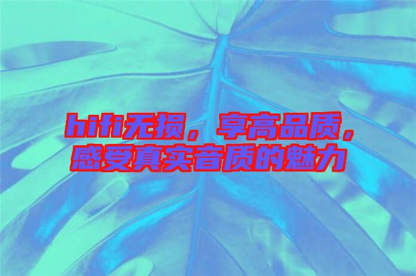 hifi無損，享高品質(zhì)，感受真實音質(zhì)的魅力