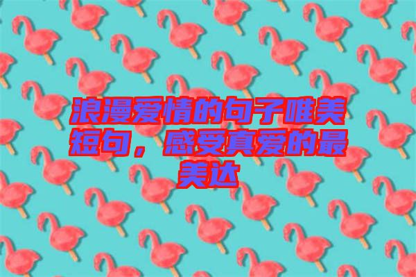 浪漫愛情的句子唯美短句，感受真愛的最美達