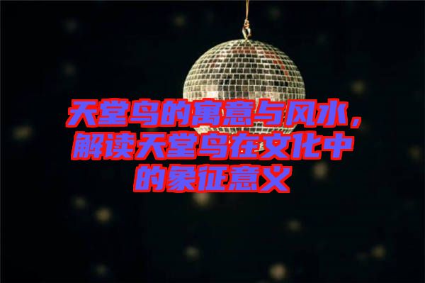 天堂鳥的寓意與風(fēng)水，解讀天堂鳥在文化中的象征意義