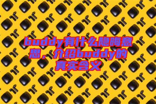 buddy有什么隱晦意思，介紹buddy的真實含義