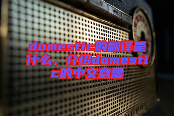 domestic的翻譯是什么，介紹domestic的中文意思