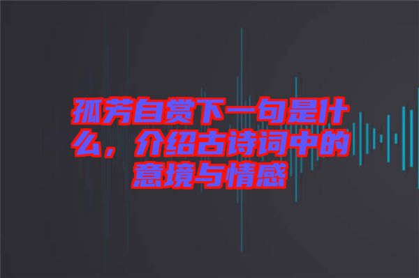 孤芳自賞下一句是什么，介紹古詩詞中的意境與情感
