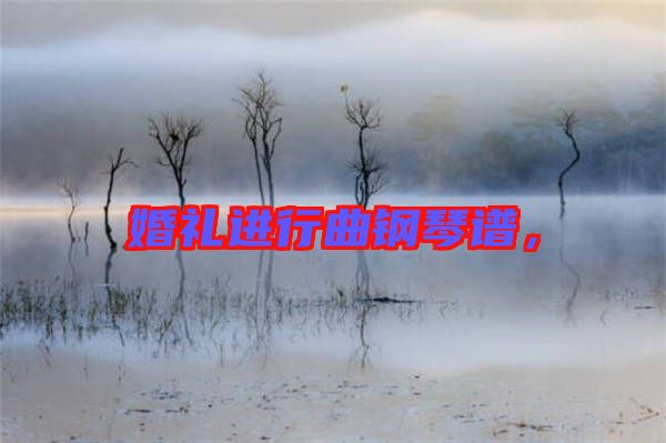 婚禮進(jìn)行曲鋼琴譜，