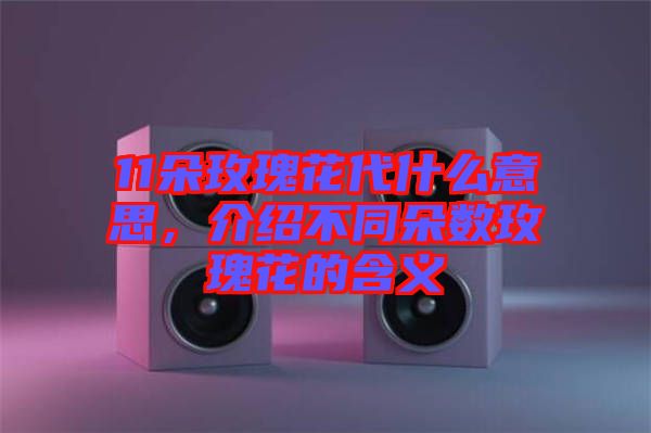 11朵玫瑰花代什么意思，介紹不同朵數(shù)玫瑰花的含義