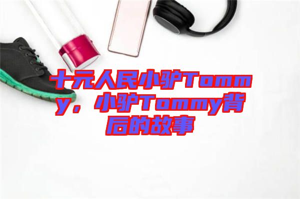 十元人民小驢Tommy，小驢Tommy背后的故事