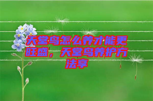 天堂鳥怎么養(yǎng)才能更旺盛，天堂鳥養(yǎng)護(hù)方法享