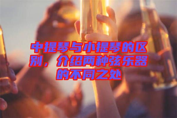 中提琴與小提琴的區(qū)別，介紹兩種弦樂器的不同之處