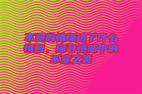 不變的情緣達了什么情感，探尋情感中的不變之美