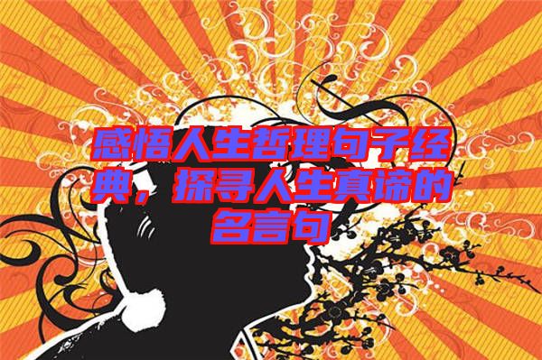 感悟人生哲理句子經(jīng)典，探尋人生真諦的名言句