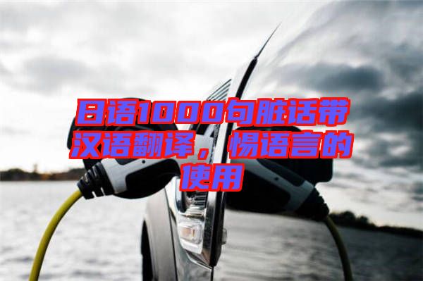 日語(yǔ)1000句臟話帶漢語(yǔ)翻譯，惕語(yǔ)言的使用