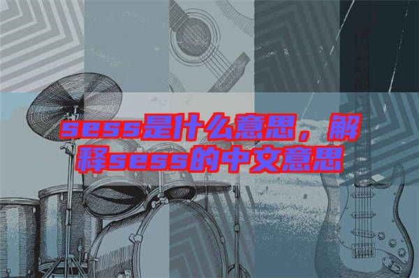 sess是什么意思，解釋sess的中文意思