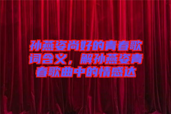 孫燕姿尚好的青春歌詞含義，解孫燕姿青春歌曲中的情感達(dá)