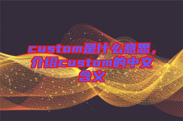 custom是什么意思，介紹custom的中文含義