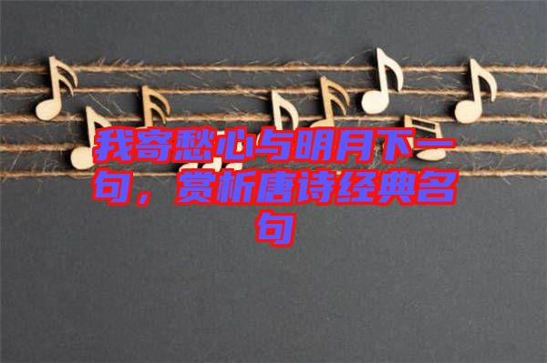 我寄愁心與明月下一句，賞析唐詩經(jīng)典名句