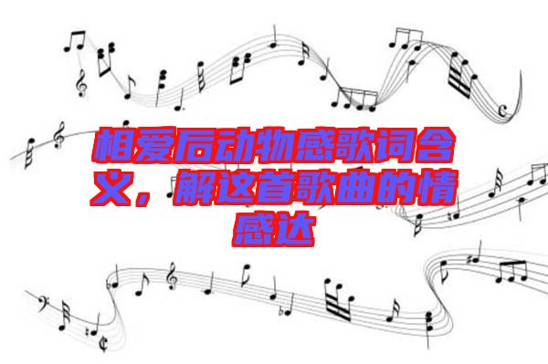 相愛(ài)后動(dòng)物感歌詞含義，解這首歌曲的情感達(dá)