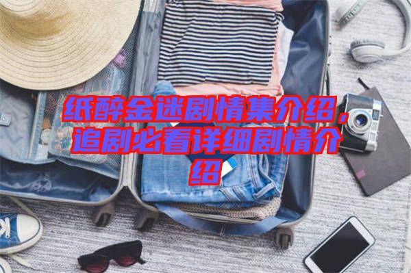 紙醉金迷劇情集介紹，追劇必看詳細劇情介紹