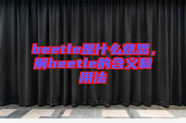 beetle是什么意思，解beetle的含義和用法