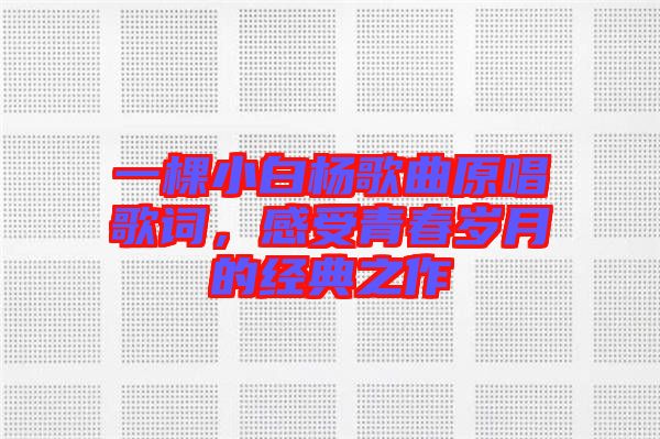 一棵小白楊歌曲原唱歌詞，感受青春歲月的經(jīng)典之作